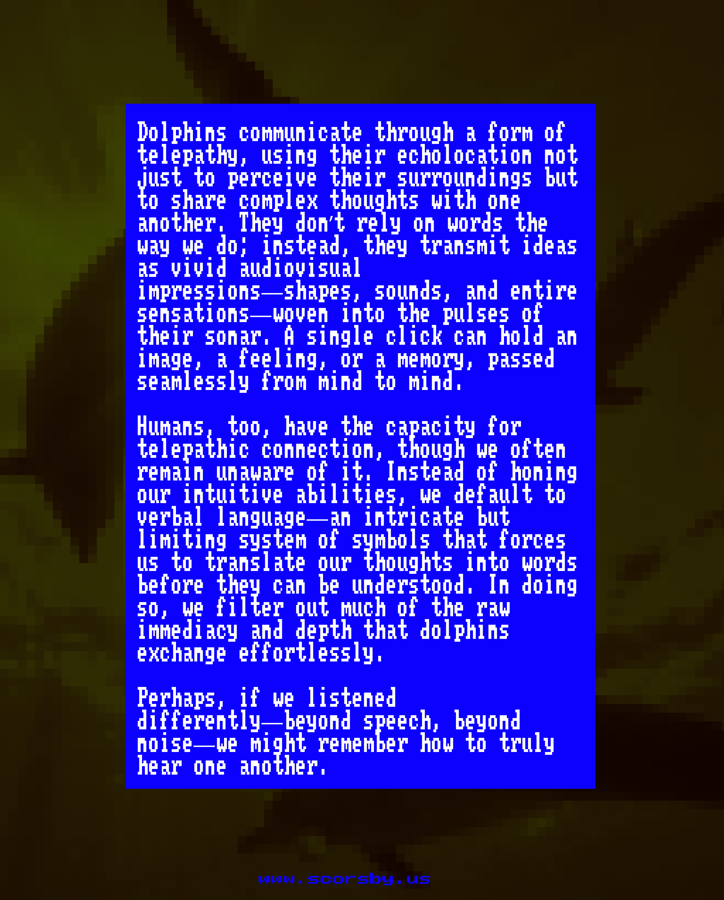 dolphin2_compressed.png