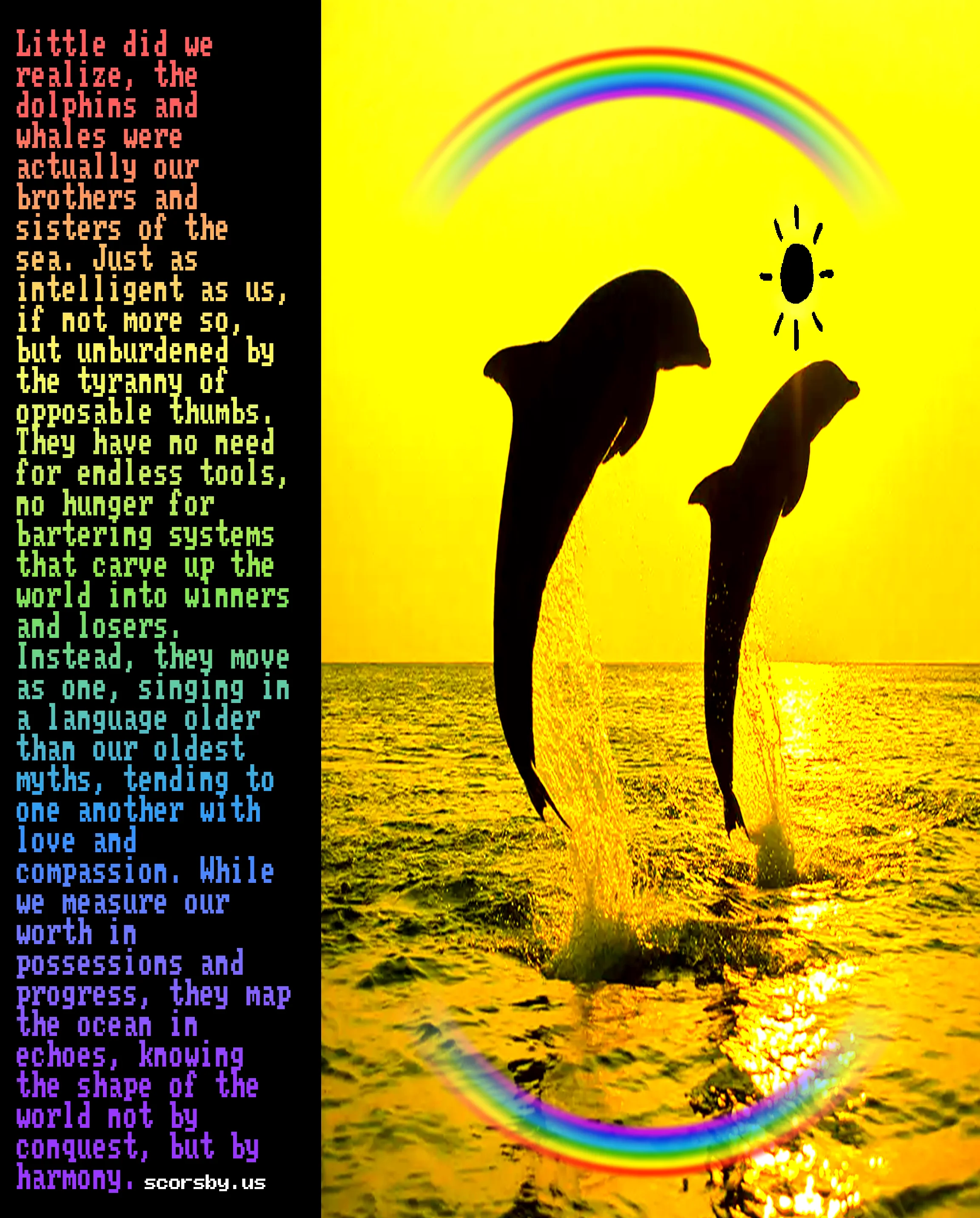 dolphins_v2_compressed.png