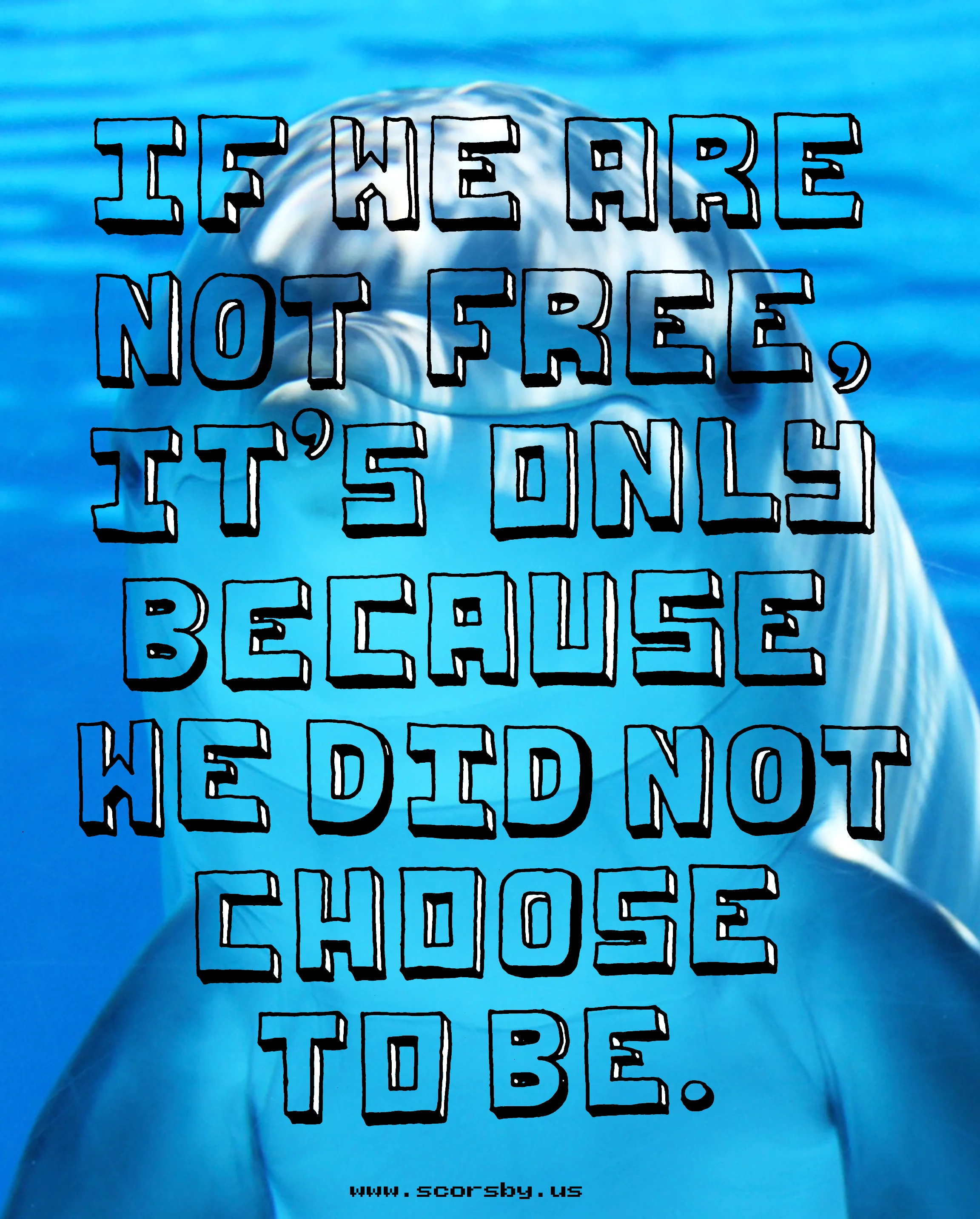 freedom_compressed.png